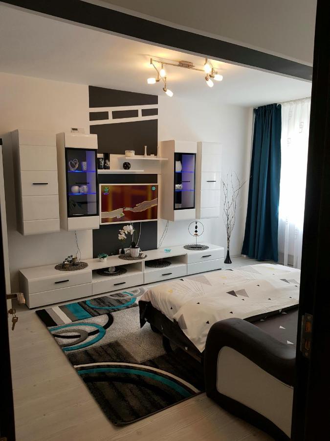 Apartament Sofy2 Băile Herculane Zewnętrze zdjęcie