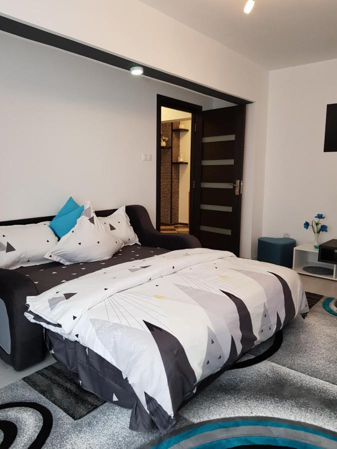 Apartament Sofy2 Băile Herculane Zewnętrze zdjęcie