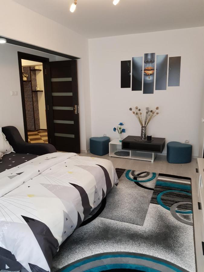 Apartament Sofy2 Băile Herculane Zewnętrze zdjęcie