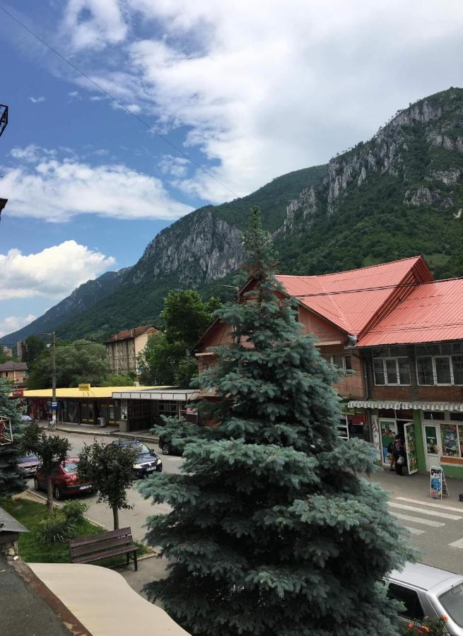 Apartament Sofy2 Băile Herculane Zewnętrze zdjęcie