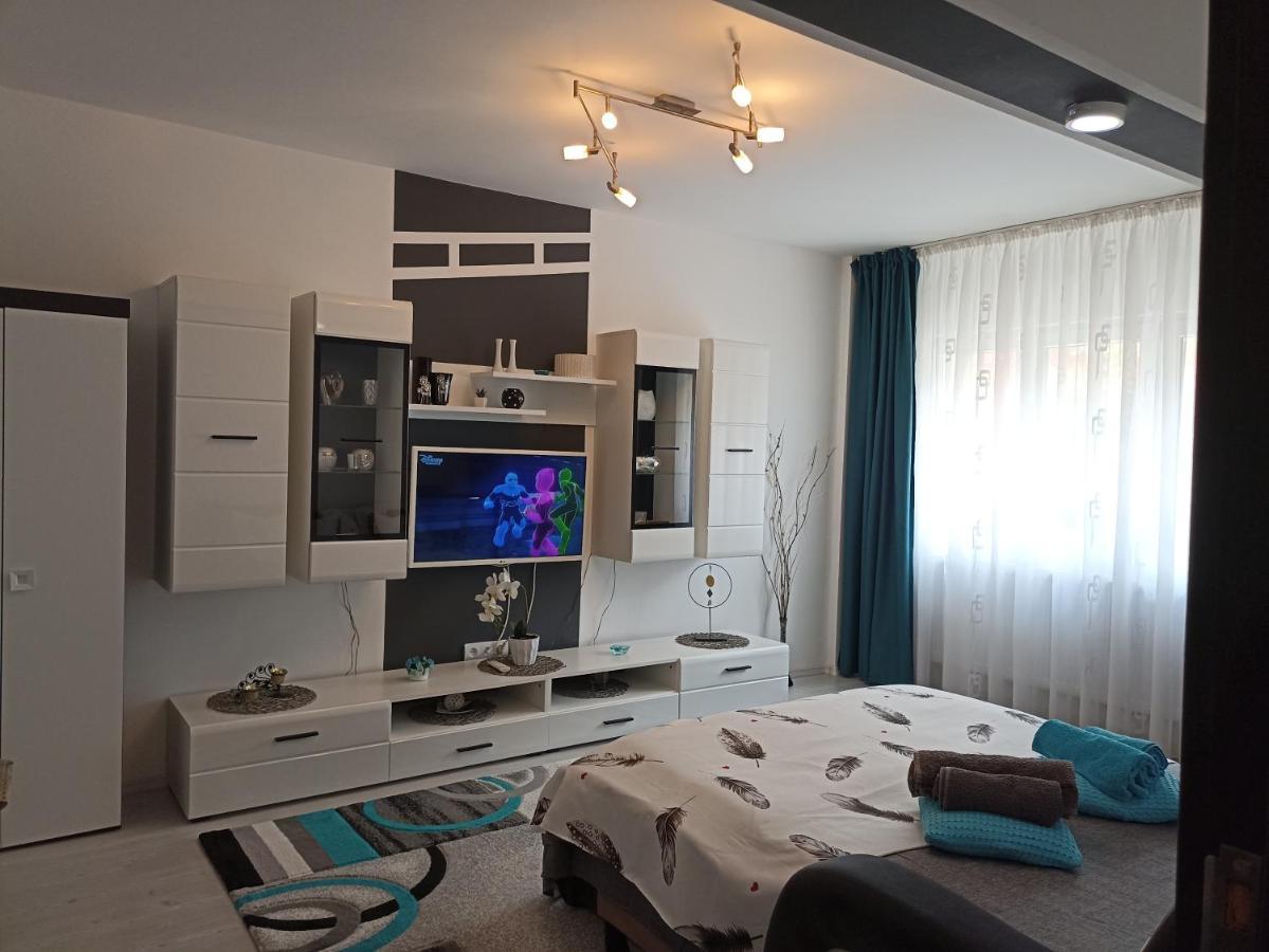 Apartament Sofy2 Băile Herculane Zewnętrze zdjęcie