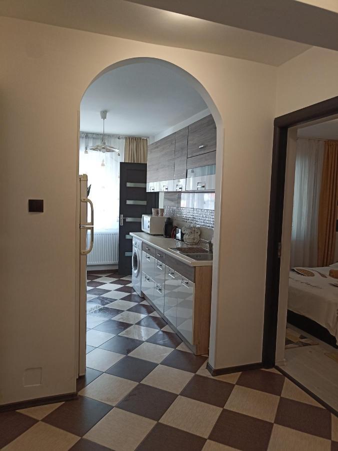Apartament Sofy2 Băile Herculane Zewnętrze zdjęcie
