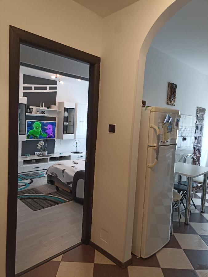Apartament Sofy2 Băile Herculane Zewnętrze zdjęcie