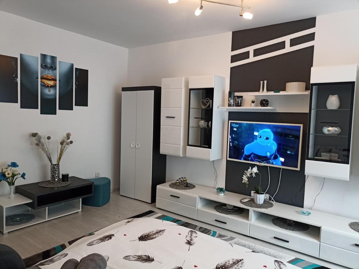 Apartament Sofy2 Băile Herculane Zewnętrze zdjęcie