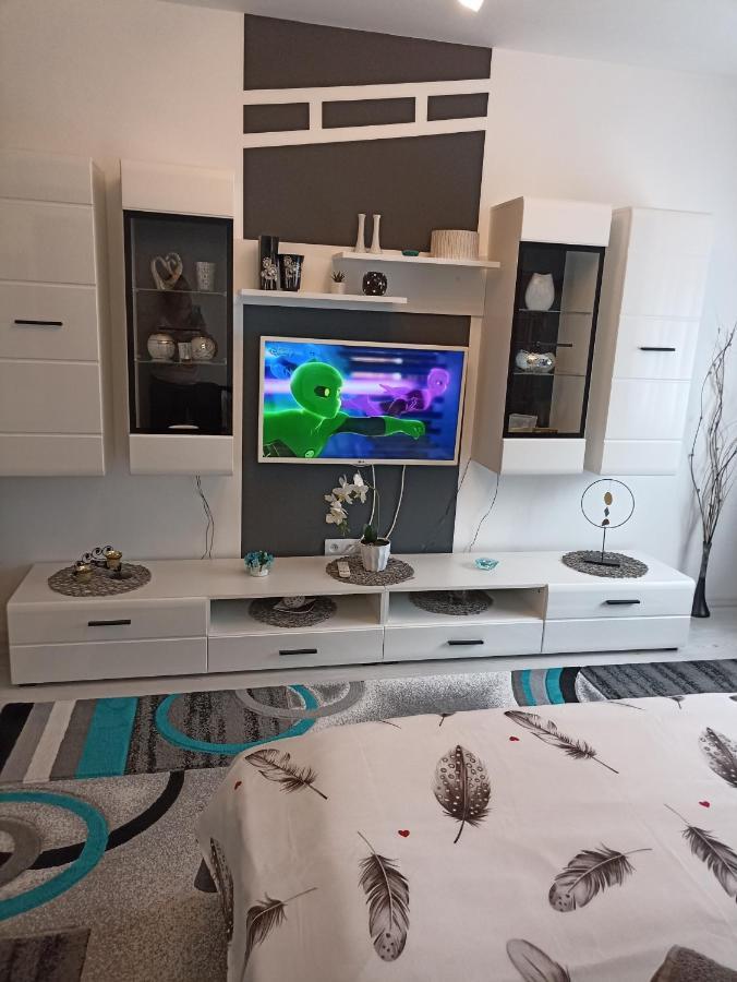 Apartament Sofy2 Băile Herculane Zewnętrze zdjęcie