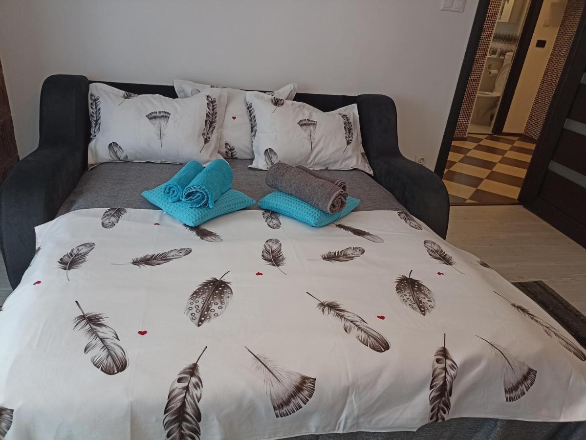 Apartament Sofy2 Băile Herculane Zewnętrze zdjęcie