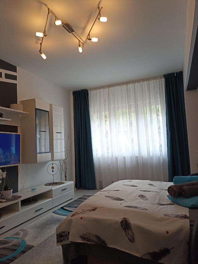Apartament Sofy2 Băile Herculane Zewnętrze zdjęcie