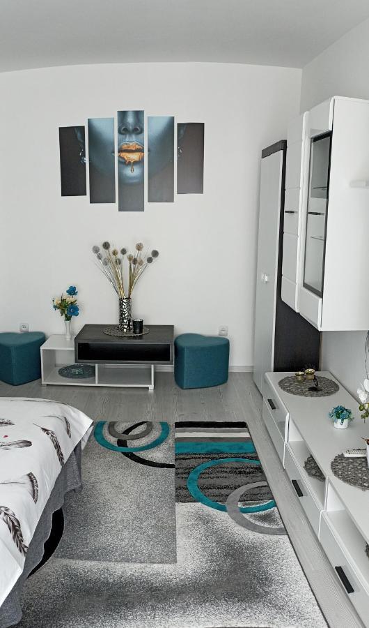 Apartament Sofy2 Băile Herculane Zewnętrze zdjęcie