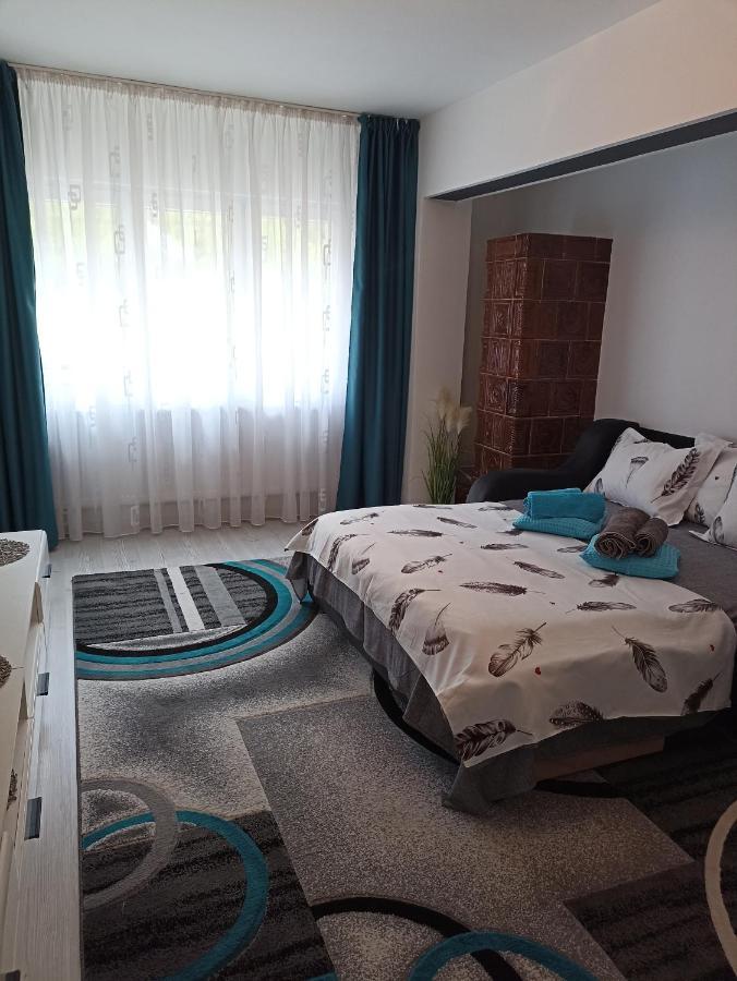 Apartament Sofy2 Băile Herculane Zewnętrze zdjęcie