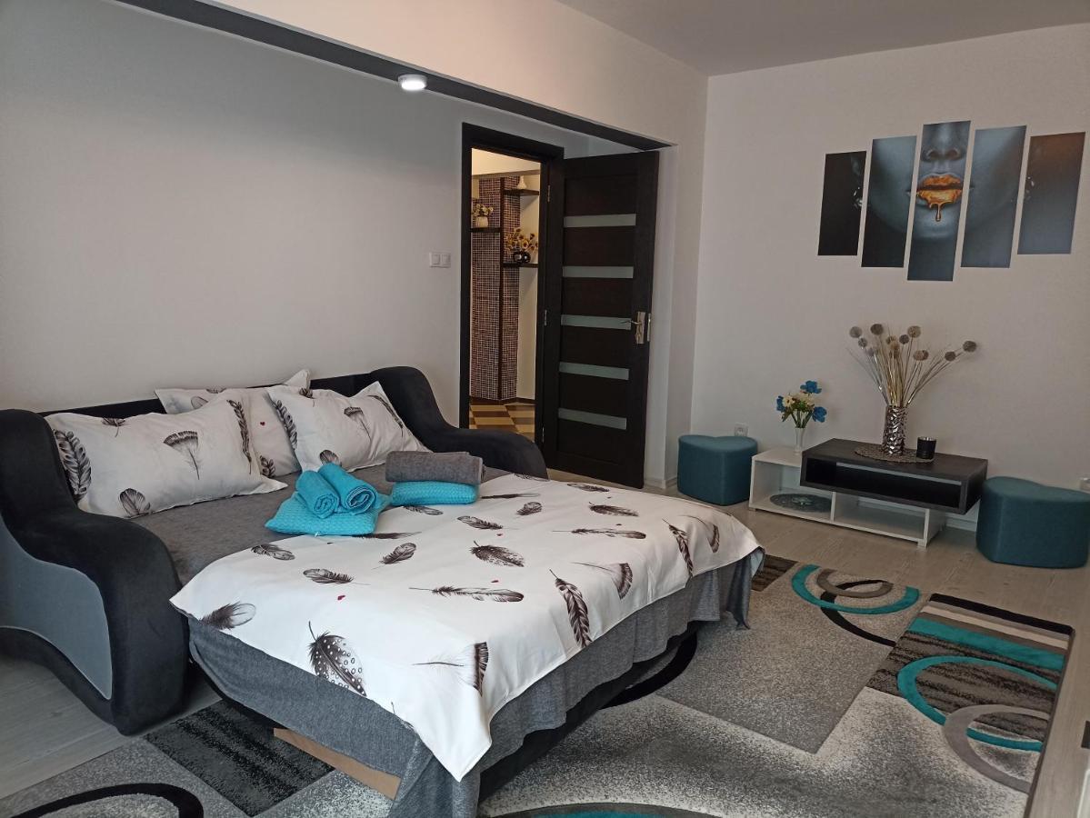 Apartament Sofy2 Băile Herculane Zewnętrze zdjęcie