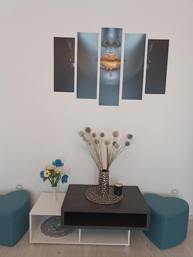Apartament Sofy2 Băile Herculane Zewnętrze zdjęcie